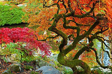 新作校园 RPG《暗徒誓约／VARLET》将与日本同步于2025年8月28日上市！